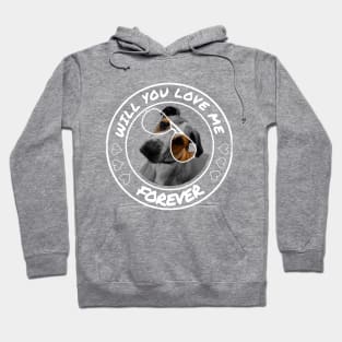 Will You Love Me Forever - Dog Hoodie